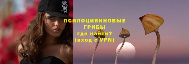 PSILOCYBIN Нягань