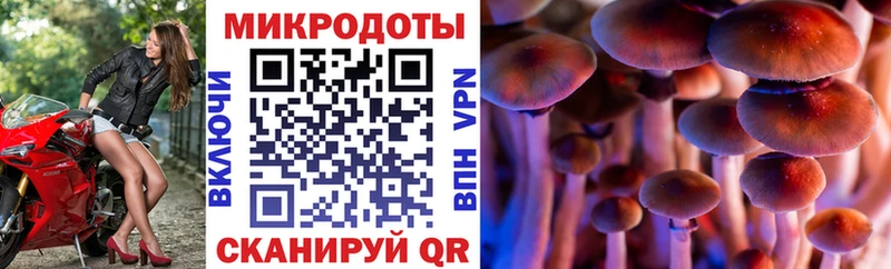 Псилоцибиновые грибы MAGIC MUSHROOMS  Старая Купавна 